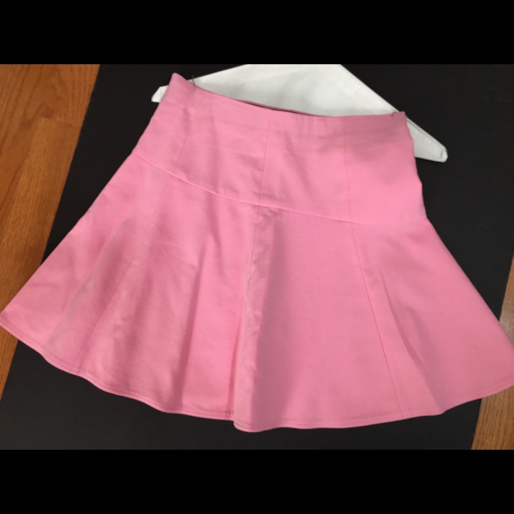 Tibi Skirt Size 2 Pink Flared Skater Mini A line